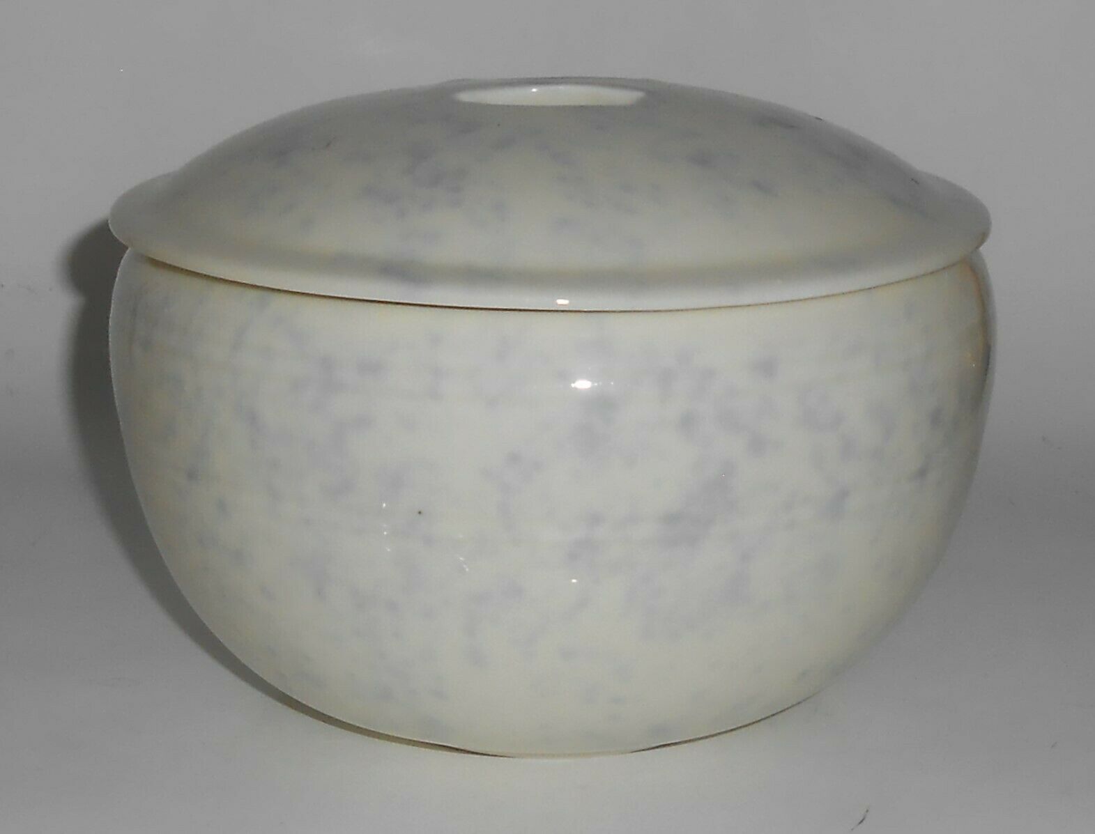Coors Pottery Thermo Porcelain Blue Spongeware Triple Service Casserole